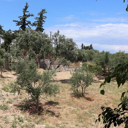 דירות Koróni Anastassia Og מראה חיצוני תמונה