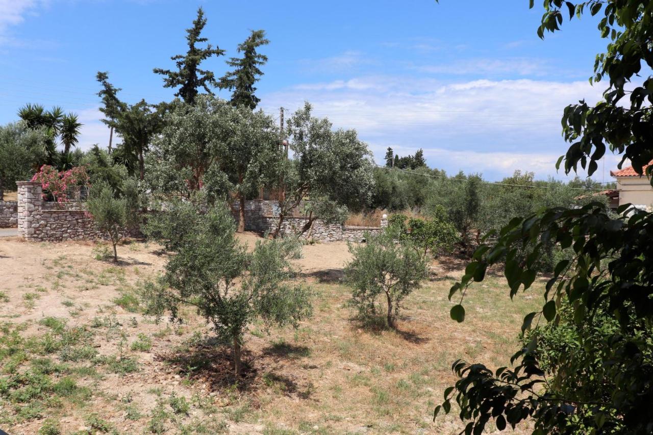 דירות Koróni Anastassia Og מראה חיצוני תמונה